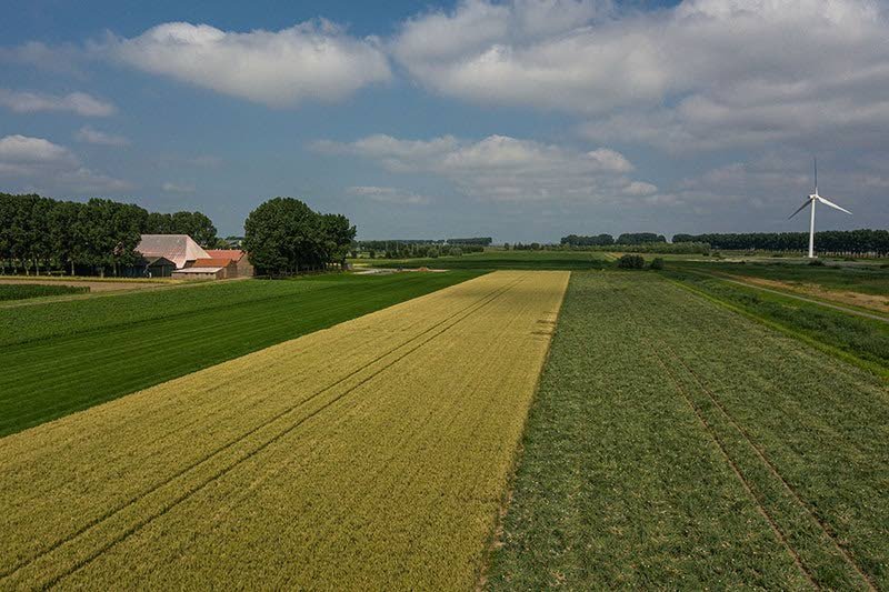 Precisielandbouw+staat+centraal+in+Proeftuin+van+Pallandtpolder