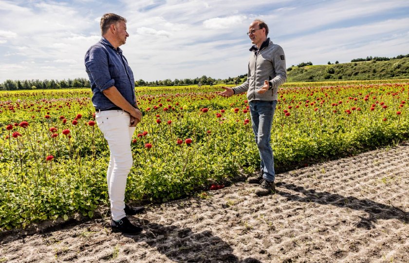 Maarten Prins betrok bollenkweker Henk Verdegaal in Noordwijkerhout bij het project.