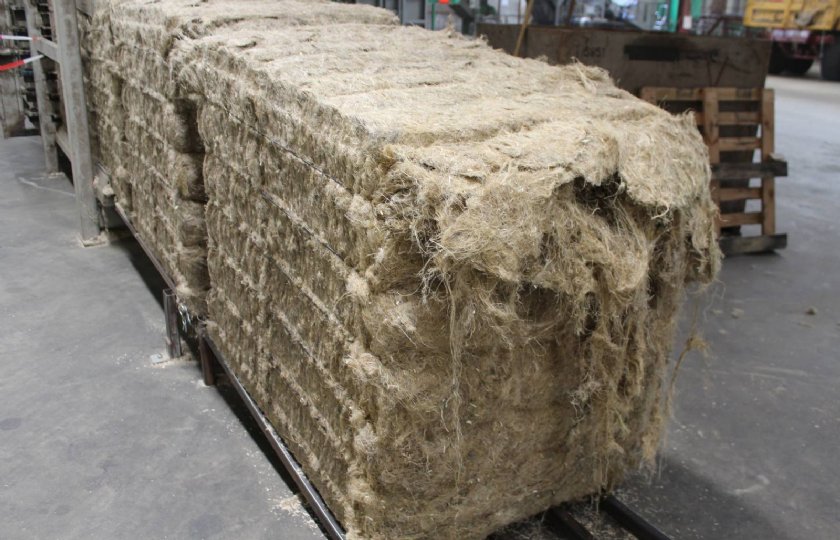Een kwart van de plant is vezel en kan zeer taai zijn voor hakselaars en oogstmaterieel.
